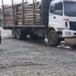 8e765bbf-3ff9-43e7-bbf5-aed078a4779d