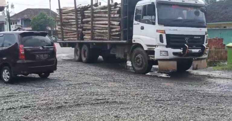 8e765bbf-3ff9-43e7-bbf5-aed078a4779d