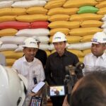 d7c5c6f5-ad66-4383-bb8b-bf9810ea9ab7